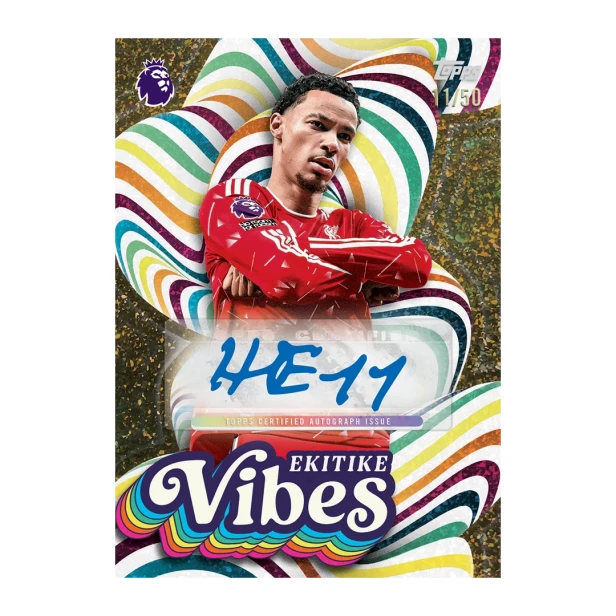 920d2dc37852d67d908296d2b06e258e78a38fd7_26PRML_VIBES_AUTO_CRF_8045.webp