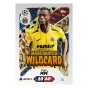 b33229c099a558fb7e8b847e9bb1750e940dc7a9_UL6_C1050_MOTM_Wildcard_FR____2010_______Nicolas_______Pepe.webp