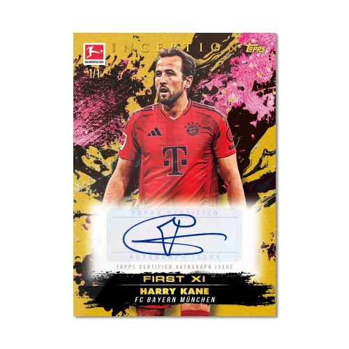 in2.webp