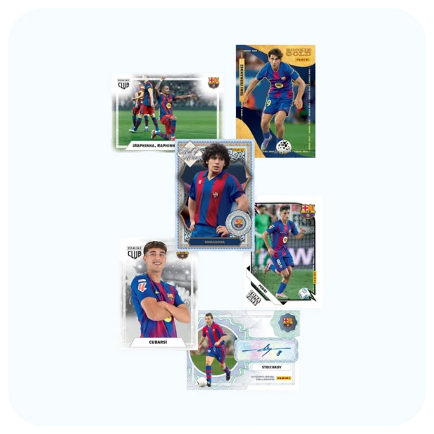 B2.webp